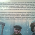 Burke & Hare DVD - pikkukuva 3