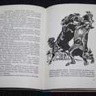 Walter Farley - Musta orhi  1.p. 1953 - pikkukuva 2