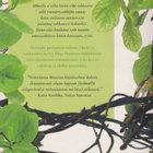 Pirjo Hassinen: Suistola - pikkukuva 2