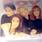BOY KRAZY :: THAT'S WHAT LOVE CAN DO :: VINYYLI 1991  RARE - pikkukuva 1