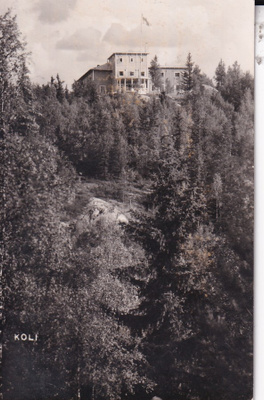 Koli, b624