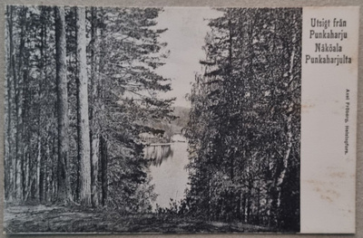 Punkaharju postikortti+negatiivi