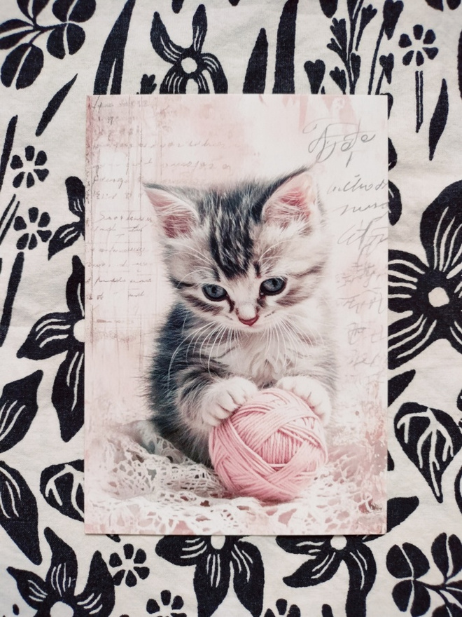 ~Kissa kortti~