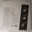 Albert Collins: Don´t Lose Your Cool LP 1983 - pikkukuva 2