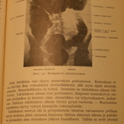 Kotilieden lääkärikirja vuodelta 1953 - pikkukuva 2