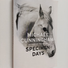 Michael Cunningham : Specimen days - pikkukuva 1