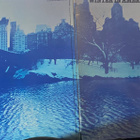 Doug Ashdown: Winter in America LP - pikkukuva 2