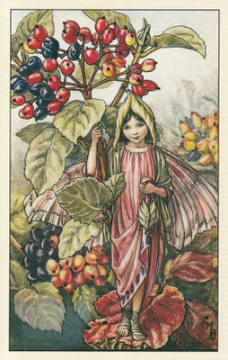 Cicely Mary Barker: Kukkakeijut villaheisi