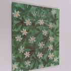Maija Paavilainen : Valoa - pikkukuva 1