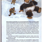 Arto Paasilinna - Rietas rukousmylly - pikkukuva 2