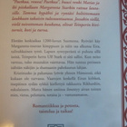 Kristiina Vuori / Näkijän tytär - pikkukuva 2