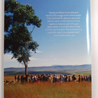 Time Special Commemorative Edition - Nelson Mandela, A he... - pikkukuva 2