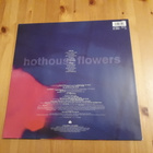 Hothouse Flowers – Songs From The Rain lp orig 1993 Pop Rock - pikkukuva 2