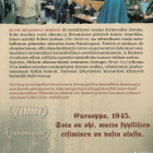 Nürnberg (2000) palkittu historiallinen minisarja (2DVD) - pikkukuva 2