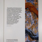 Aikuiskasvatus 4/2007, aikuiskasvatustieteellinen aikakau... - pikkukuva 2