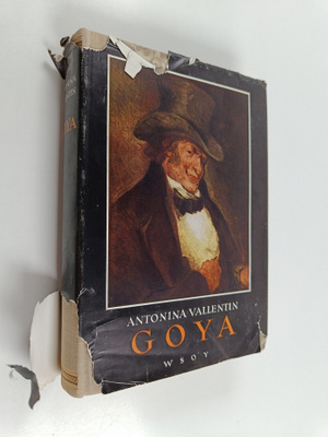 Antonina Vallentin : Goya