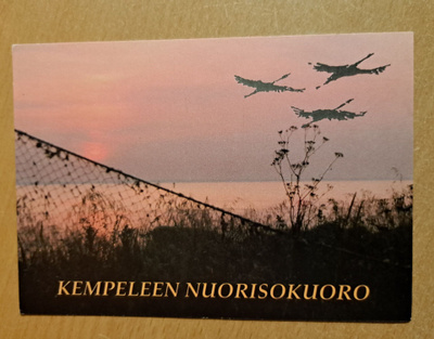 iltarusko, joutsenet merimaisemassa ,kulkematon