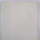 WSOY 100 albumi 1878-1978 - pikkukuva 2