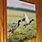 Postimerkkivuosi 2010 kirja, merkit poistettu - pikkukuva 1