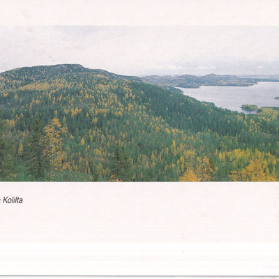Koli. maisema. Markku Tano.  e263