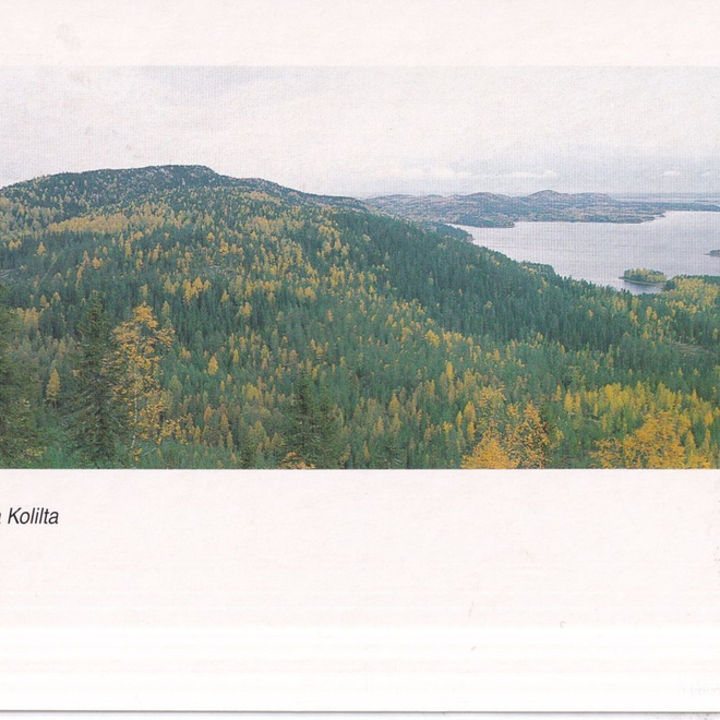 Koli. maisema. Markku Tano.  e263