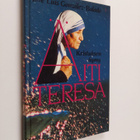 Jose Luis Gonzalez-Balado : Äiti Teresa : Kristuksen hymy - pikkukuva 1