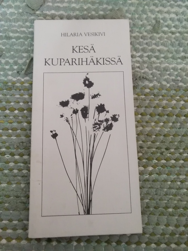 Hilaria Vesikivi: Kesä kuparihäkissä