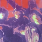 Ramones Animal Boy valokuva 30*45 cm DuBose Signeraus - pikkukuva 2
