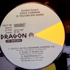 DAVE LIEBMAN :: GUIDED DREAM  ::  VINYYLI  LP + PHOTO   1986 - pikkukuva 3
