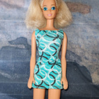Capri Barbie 1990 - pikkukuva 1