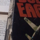 Peter Townsend - Duel of Eagles (paperback) - pikkukuva 2