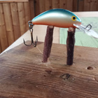 Salmo Floating 3,5cm - pikkukuva 1