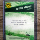 Erling Haaland numeroitu 69/99 - pikkukuva 2