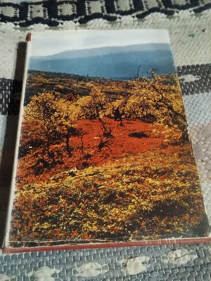 Kullervo Kemppinen: Lumikuru