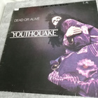 Dead Or Alive - Youthquake ; lp - pikkukuva 1