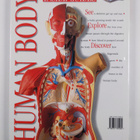 Frances Williams : Human body - pikkukuva 2