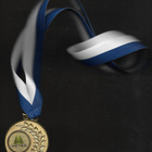 Mitali - SM-metsätaito 2012 joukkuekisa - pikkukuva 1