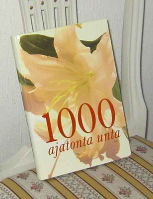 UNIKIRJA, 1000 ajatonta unta ( unien selitykset )