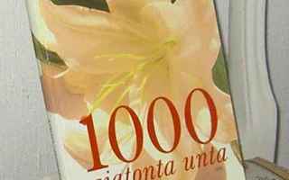 UNIKIRJA, 1000 ajatonta unta ( unien selitykset )