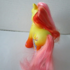My Little Pony G3, Morning Glory - pikkukuva 4