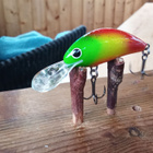 Salmo  Floating Hornet 4 KOM - pikkukuva 2