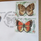 FDC Makedonia 1996: perhosia - pikkukuva 3