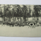 Kemijärvi poroaita - 1934 - pikkukuva 1
