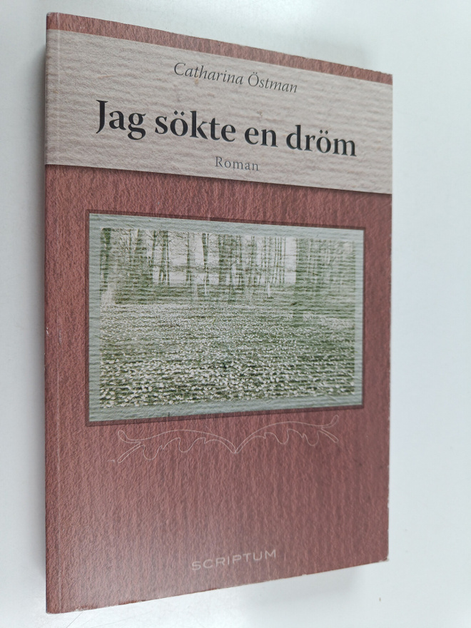 Catharina Östman : Jag sökte en dröm : roman