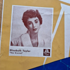 Filmitähti maitosuklaa mainosjuliste 1950-luvulta 70×90cm - pikkukuva 4