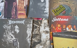 21 kpl lp paketti vinyyli