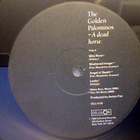 THE GOLDEN PALOMINOS :: A DEAD HORSE :: VINYYLI LP 1989 USA - pikkukuva 3