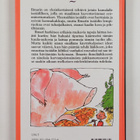 Roald Dahl : Ilmarin ihmelääke - pikkukuva 2