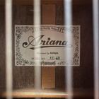 Ariana by Aria AK-68 klassinen akustinen kitara + teline - pikkukuva 5