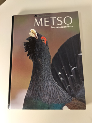 Metso havumetsien lintu